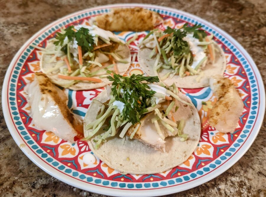 Grilled Halibut Tacos Plated