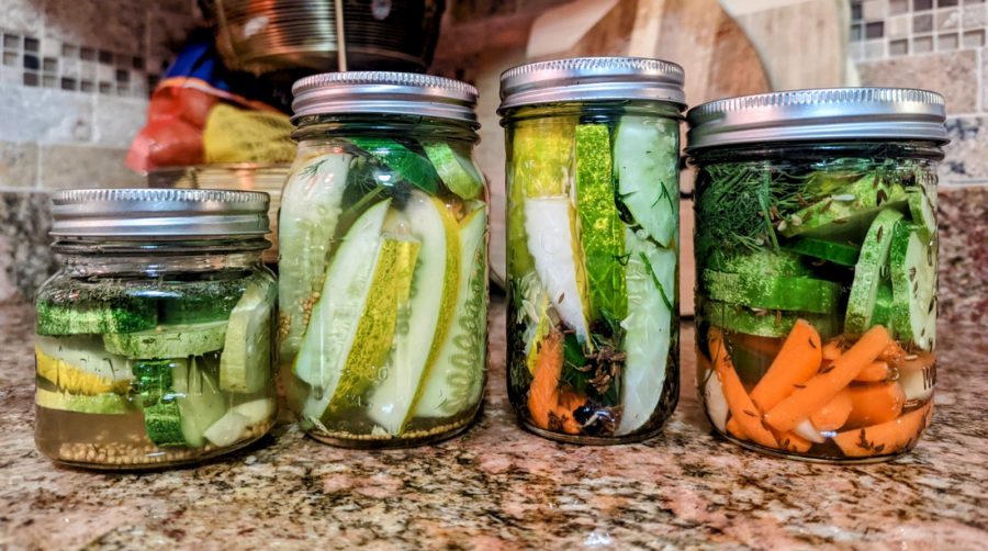 Easy Refrigerator Dill Pickles in Jar